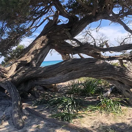 Casa Sa Murta * Orosei